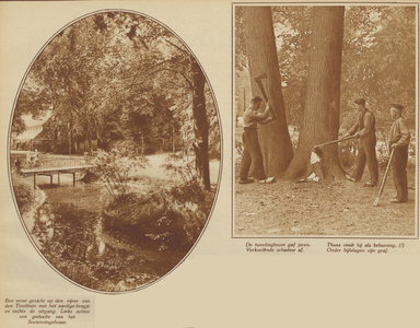 872603 Collage van 2 foto's betreffende het Park Tivoli bij de Wittevrouwensingel te Utrecht, dat grotendeels gaat ...